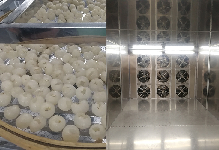 龙眼烘干机