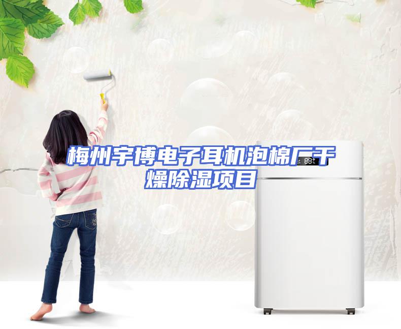 梅州宇博电子耳机泡棉厂干燥除湿项目