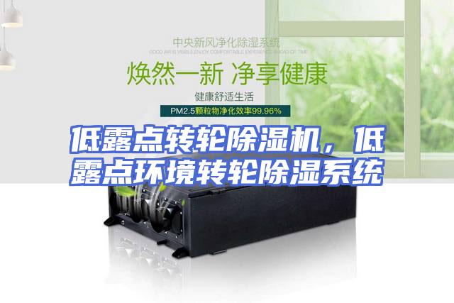 低露点转轮除湿机，低露点环境转轮除湿系统