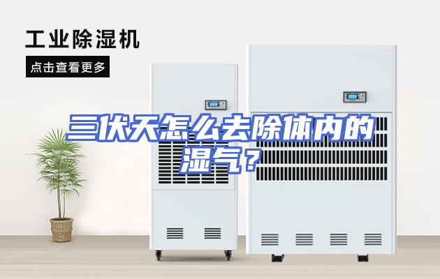 三伏天怎么去除体内的湿气？