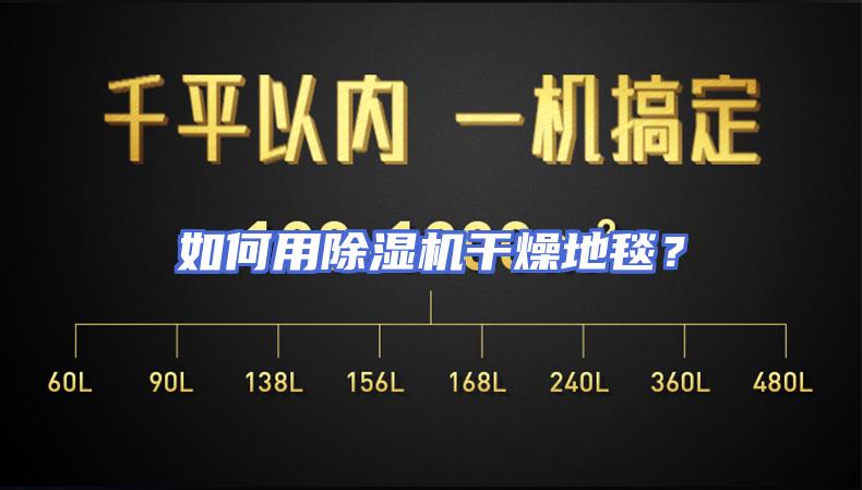 如何用除湿机干燥地毯？