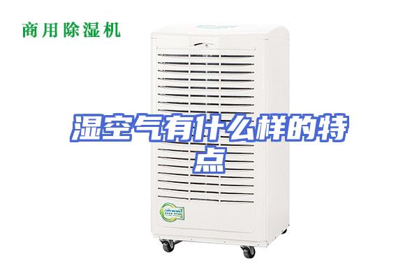 湿空气有什么样的特点