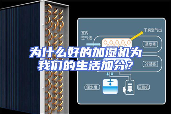 为什么好的加湿机为我们的生活加分？