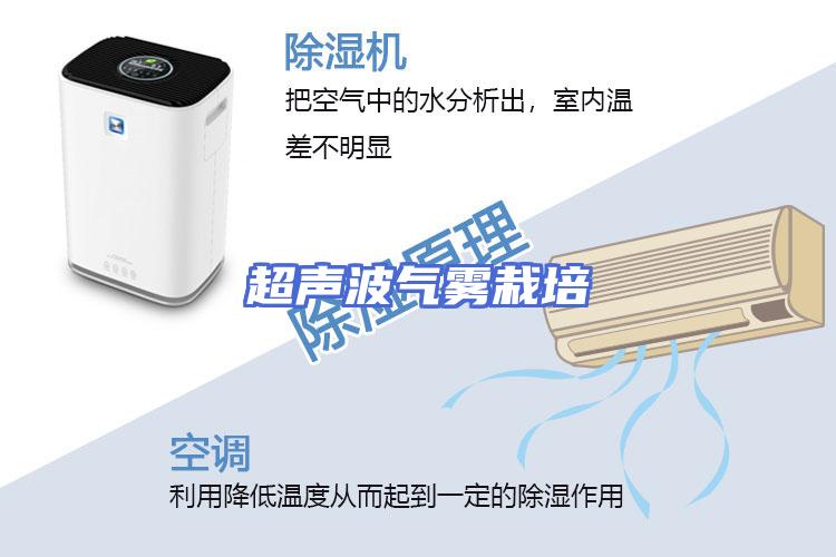 超声波气雾栽培