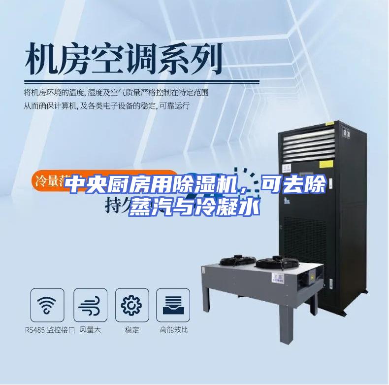 中央厨房用除湿机，可去除蒸汽与冷凝水
