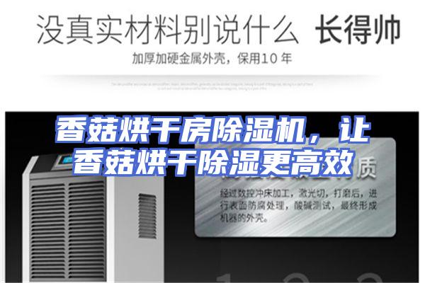 香菇烘干房除湿机，让香菇烘干除湿更高效