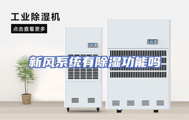 新风系统有除湿功能吗