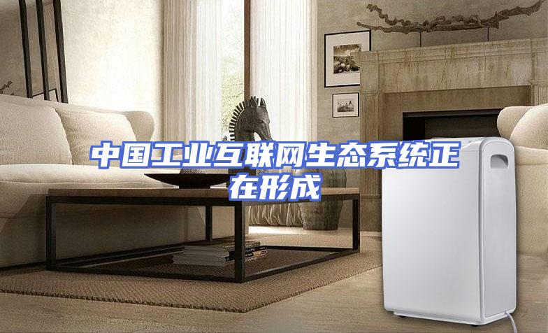 中国工业互联网生态系统正在形成