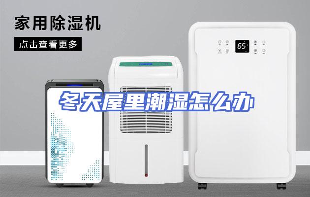 冬天屋里潮湿怎么办