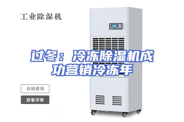 过冬：冷冻除湿机成功营销冷冻年