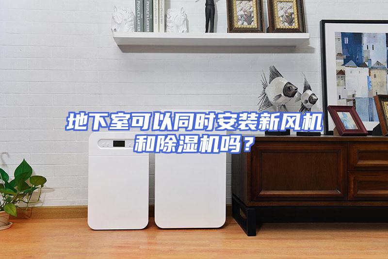 地下室可以同时安装新风机和除湿机吗？