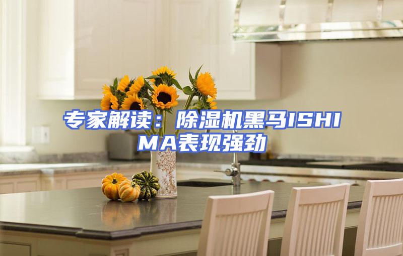 专家解读：除湿机黑马ISHIMA表现强劲