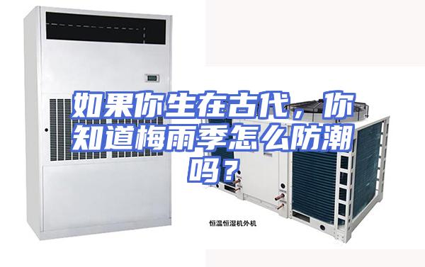 如果你生在古代，你知道梅雨季怎么防潮吗？