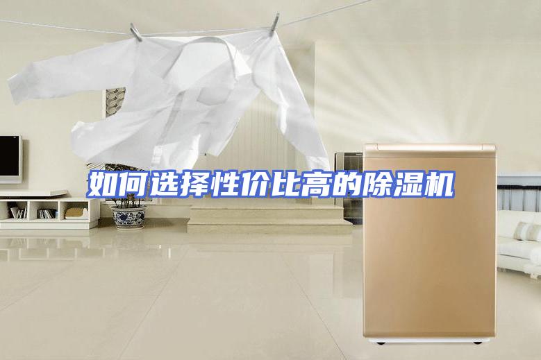 如何选择性价比高的除湿机