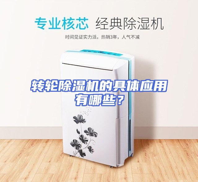 转轮除湿机的具体应用有哪些？