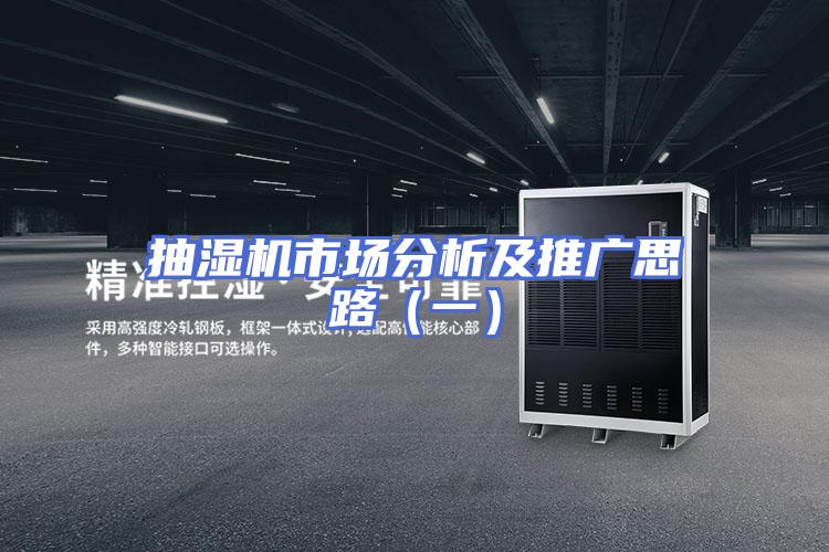抽湿机市场分析及推广思路（一）