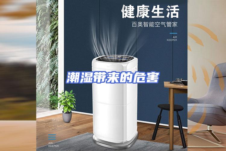潮湿带来的危害