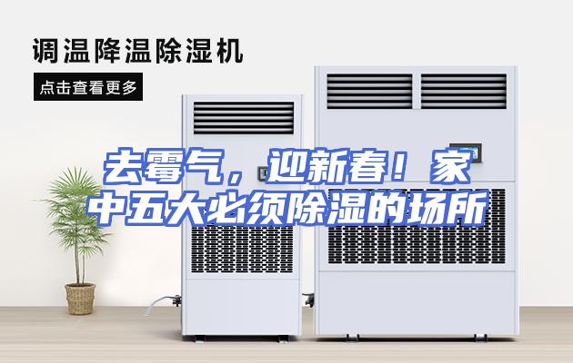 去霉气，迎新春！家中五大必须除湿的场所