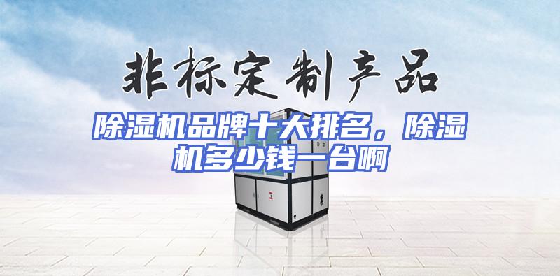 除湿机品牌十大排名，除湿机多少钱一台啊