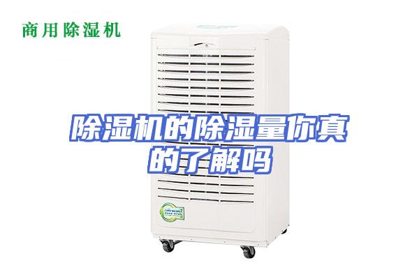 除湿机的除湿量你真的了解吗