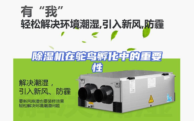 除湿机在鸵鸟孵化中的重要性