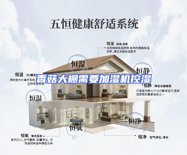 香菇大棚需要加湿机控湿
