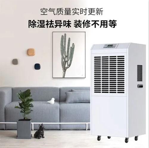 家里潮气大霉味重怎么办