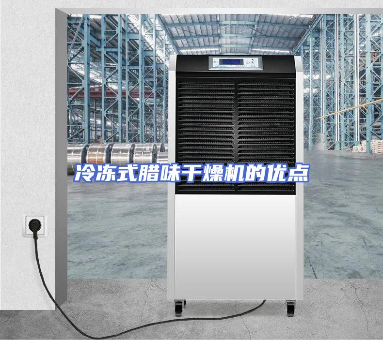 冷冻式腊味干燥机的优点