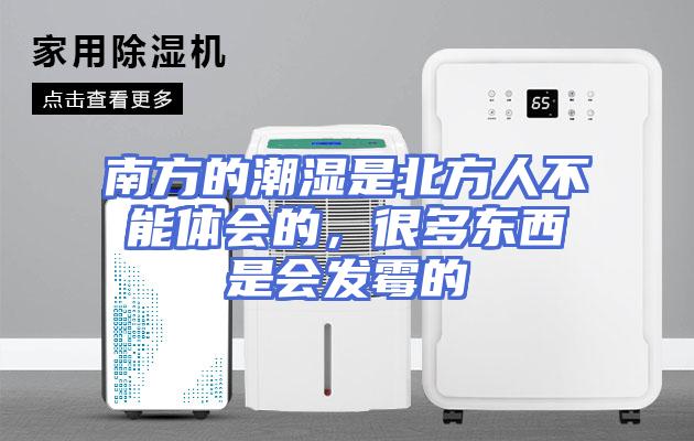 南方的潮湿是北方人不能体会的，很多东西是会发霉的