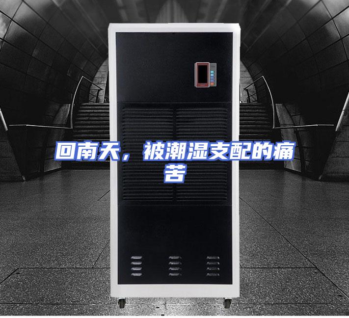 回南天，被潮湿支配的痛苦