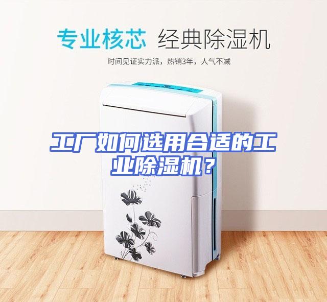 工厂如何选用合适的工业除湿机？