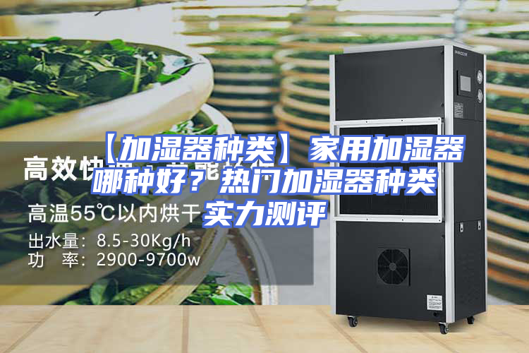 【加湿器种类】家用加湿器哪种好？热门加湿器种类实力测评
