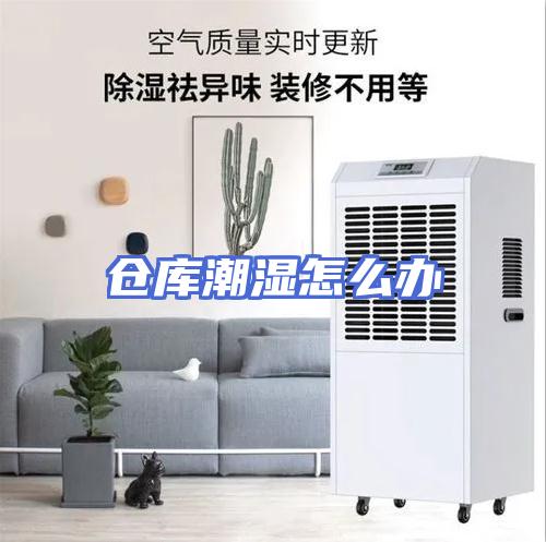 仓库潮湿怎么办