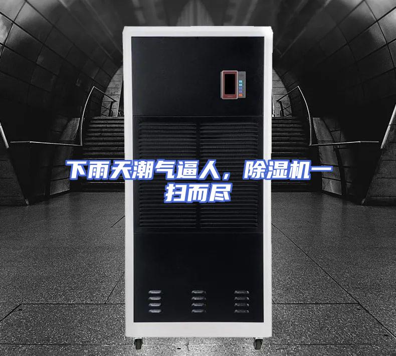 下雨天潮气逼人，除湿机一扫而尽