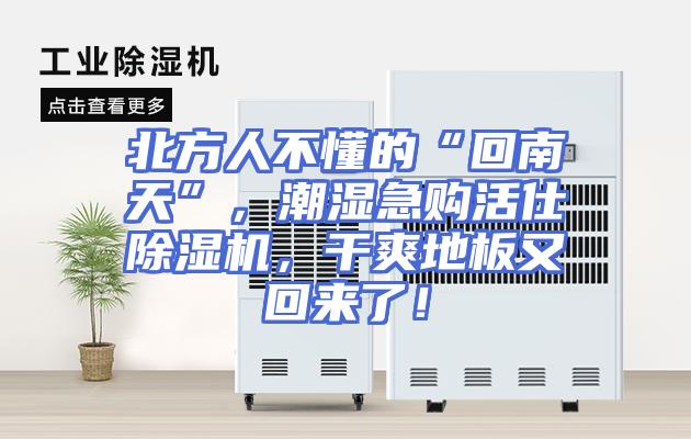 北方人不懂的“回南天”，潮湿急购活仕除湿机，干爽地板又回来了！