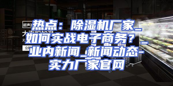 热点：除湿机厂家_如何实战电子商务？_业内新闻_新闻动态-实力厂家官网