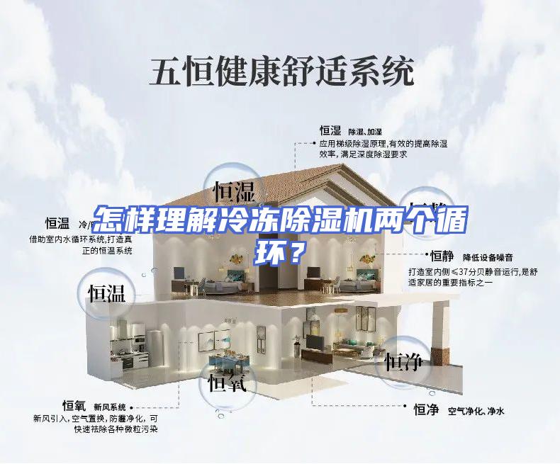 怎样理解冷冻除湿机两个循环？