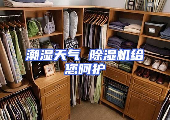 潮湿天气 除湿机给您呵护