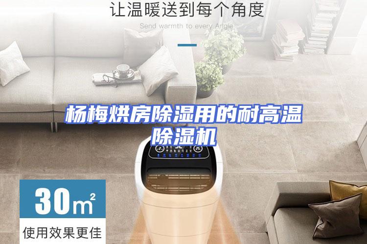 杨梅烘房除湿用的耐高温除湿机