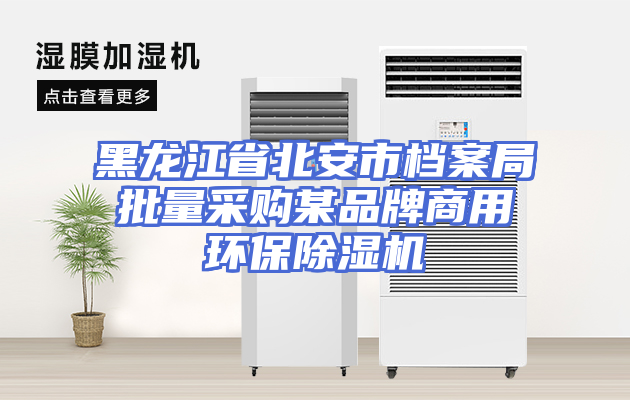 黑龙江省北安市档案局批量采购某品牌商用环保除湿机