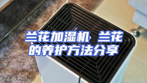 兰花加湿机 兰花的养护方法分享