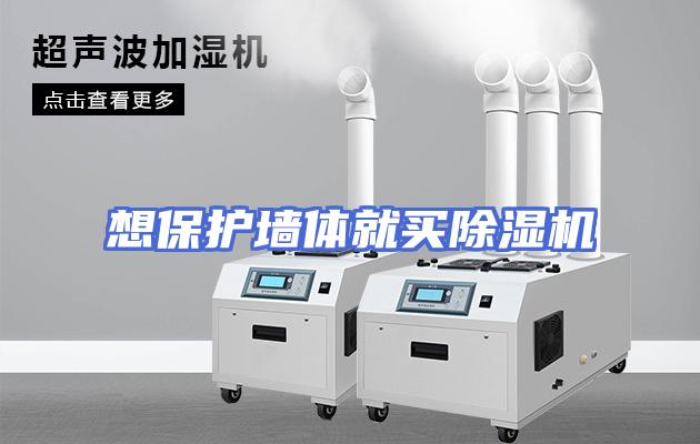 想保护墙体就买除湿机