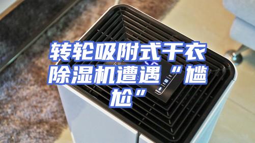 转轮吸附式干衣除湿机遭遇“尴尬”