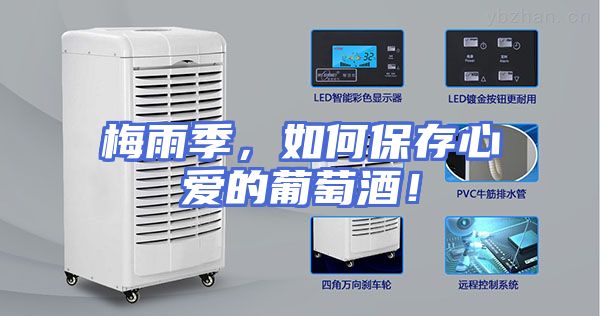 梅雨季，如何保存心爱的葡萄酒！