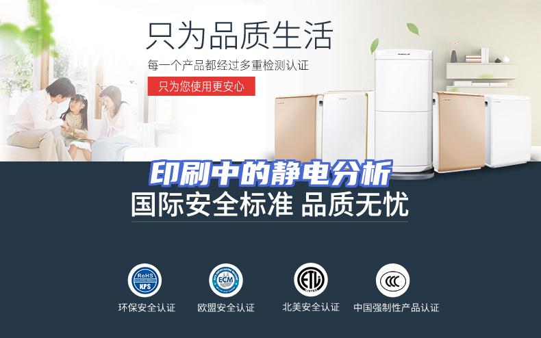 印刷中的静电分析