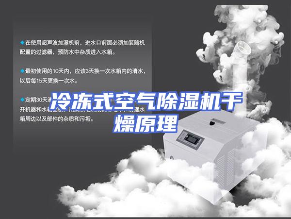 冷冻式空气除湿机干燥原理