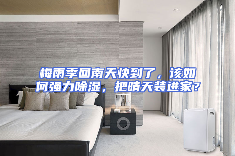 梅雨季回南天快到了，该如何强力除湿，把晴天装进家？