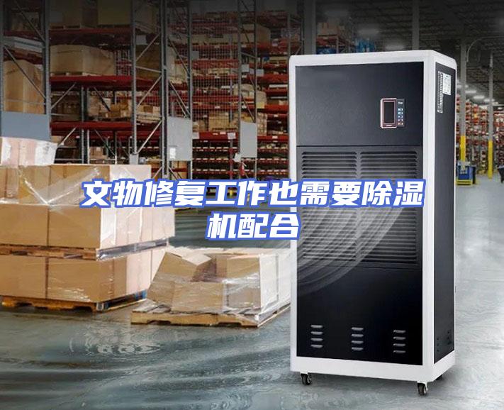 文物修复工作也需要除湿机配合