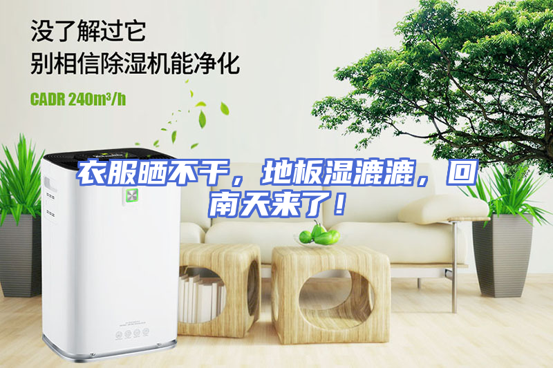 衣服晒不干，地板湿漉漉，回南天来了！