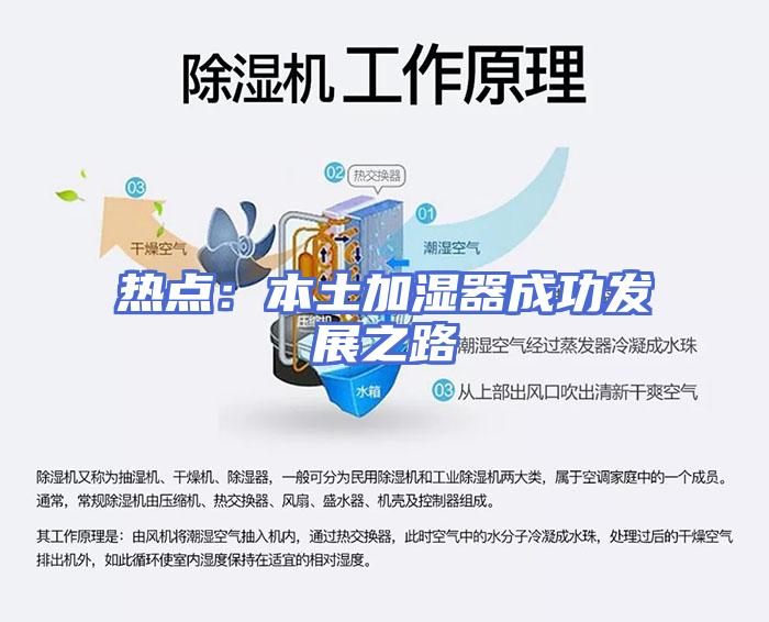 热点：本土加湿器成功发展之路
